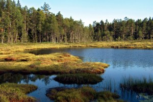 Firfislevannet_DSCF4854w