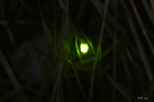 Sankthansorm_DSCF4830w