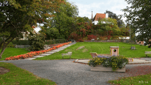 Skotta_Tollerodden_MG_16160w