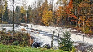 Daleelva i Lardal hadde fått litt mere vann i løpet av natta. Foto: Reidar Nordkveldemoen ©