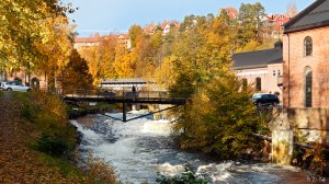 Farriselva_MG_16606w