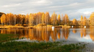 Bildemessig veldig flott, men ikke så bra for bonden som har høyballene liggende "midtfjords" i Gjønnesvannet. Foto: Reidar Nordkveldemoen ©