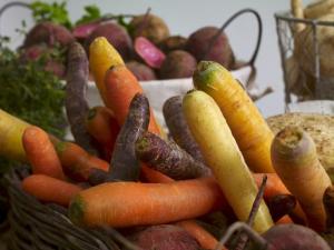 Rotgrønnsaker har blitt trendy over hele den vestlige verden og salget har økt kraftig i 2014. 