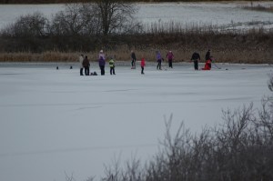 Islek på Gjønnesvannet. Foto: Jan E. Thorstein©