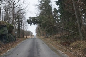 Trefall på Ulaveien. Foto. Jan E. Thorstein©