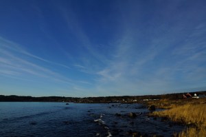 800_Vårvær_DSC01960