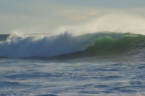 Hawaiibølge_800_DSC01715