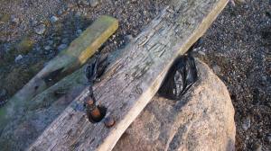 Hundedritt lagt igjen på benken på Mølen. Foto: Ellinor Dalen Thorstein© 