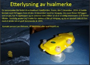 Hvalmerke