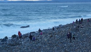 Mølen_mennesker_800_DSC01738