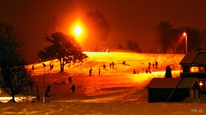 Akebakken på Månejordet, Foto: Reidar Nordkveldemoen©