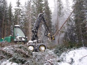 Skogsmaskin. Foto: Norskog