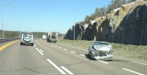 Foksrød_E18_DSC01862