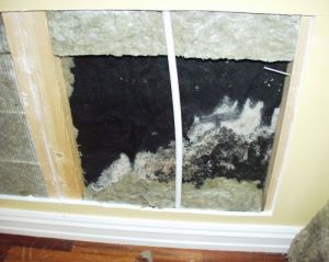 Mange skader blir kun oppdaget etter avdekking. (Foto: Mycoteam)