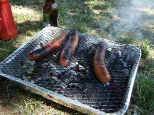 Engangsgrill_5523.700