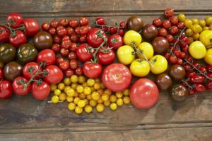 f4447de4-b527-4236-8de8-f65c17774e98-main_image_email