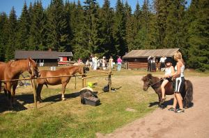 07.07.2015.Nordgardsetra12w