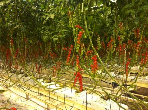 ef46d69a-cb0b-4d6f-83c0-82400558c9bd