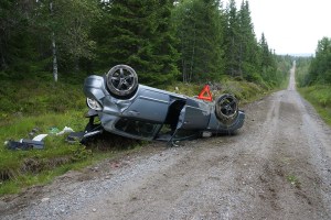 Pesteseterveien-3_DSC05349