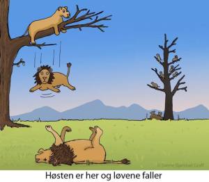 1230099_550422148341111_1992487746_n