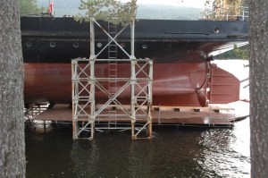 Ammonia_800_D2X_5037