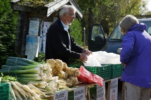 Steinsholt_800_DSC06639