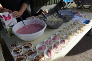 Steinsholt_800_DSC06661