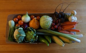 Steinsholt_Bergene_800_DSC06713