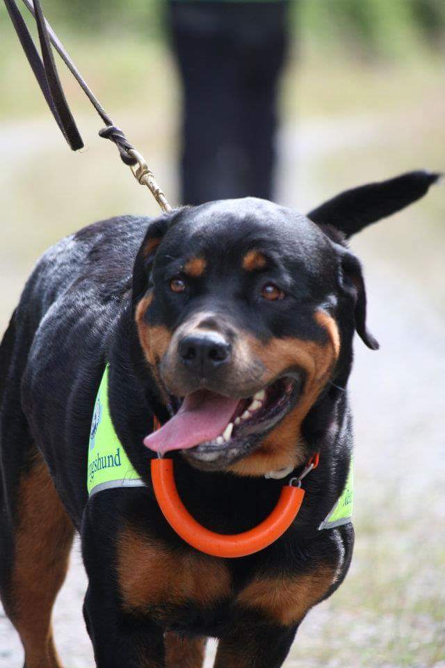 wpid-received_10153049395567202