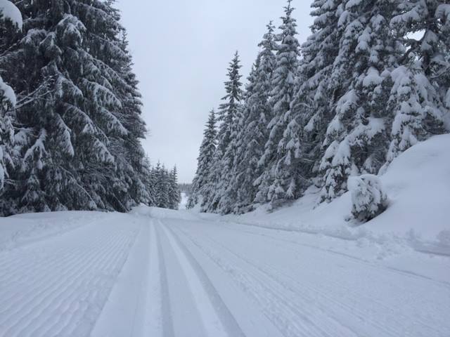 12717852_800498636722341_6643217801652017664_n