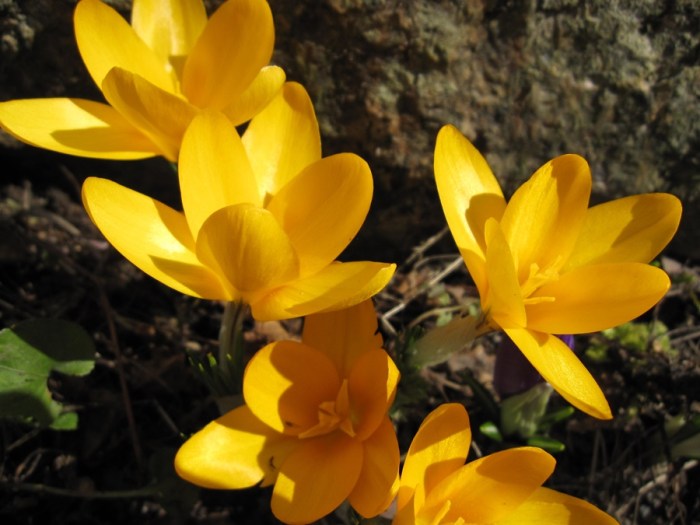 Påskefarger_IMG_0578