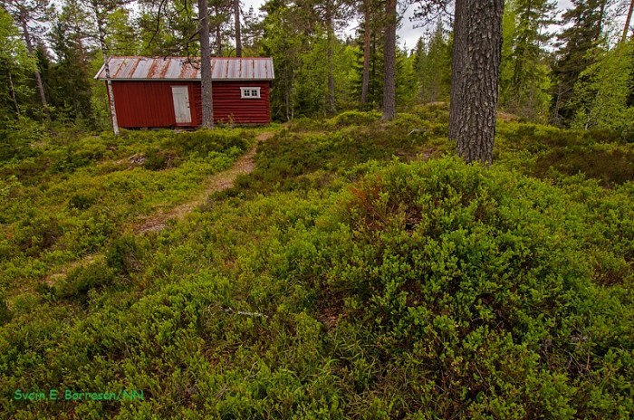 Svartangen_Langs vannet 2