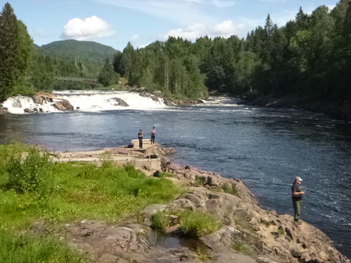 Laksefiske_Kjærrafossen_030