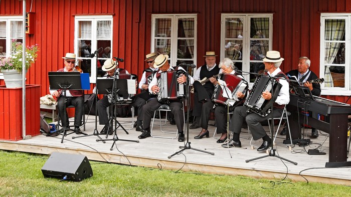 Varden på Hedrum bygdetun 19.7.15, RN
