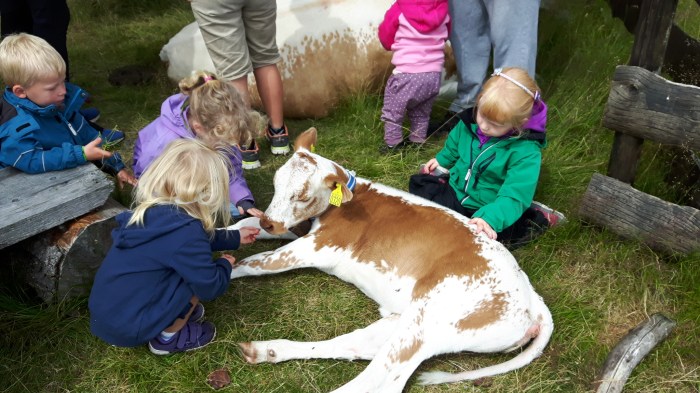 Nordgardsetra 17 juli 2016 043