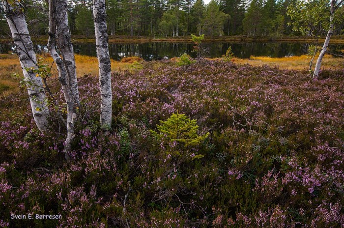 Høsten sniker seg på 2