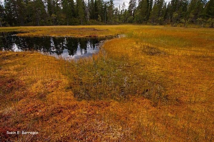 Høsten sniker seg på 3
