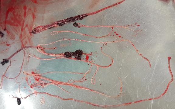 df2a41bd-ffa9-4b31-9e85-7d37f0f476f0-main_image_email