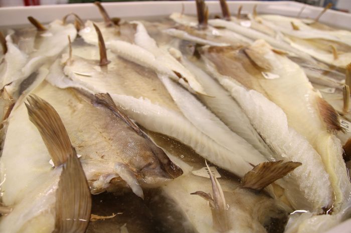 lutefisk_52834074-ff63-4abf-b980-3aa7fa15bfb2