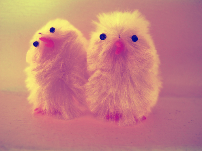 1453882-8-1333895852264